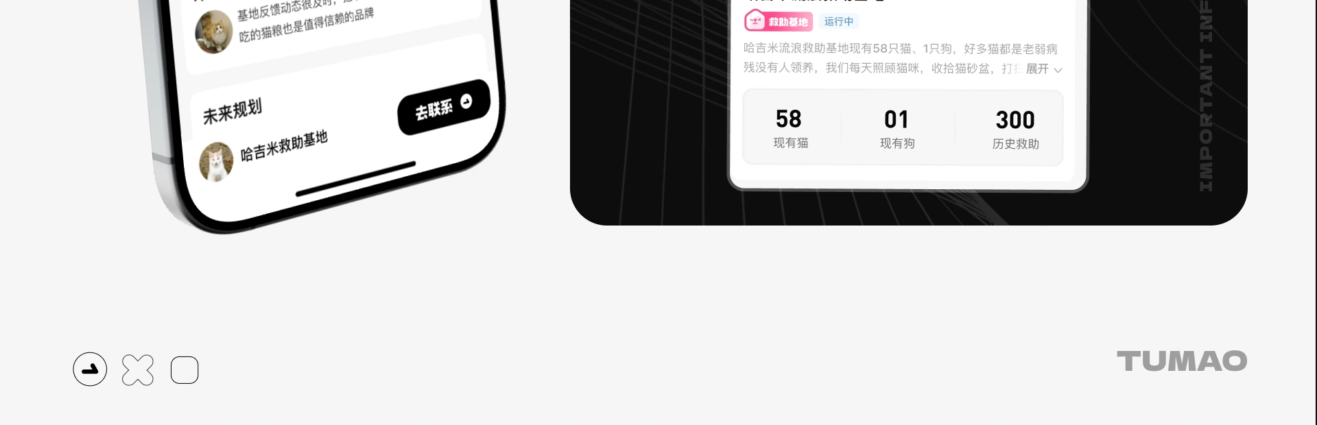 途猫 App 迭代升级 项目详情 09